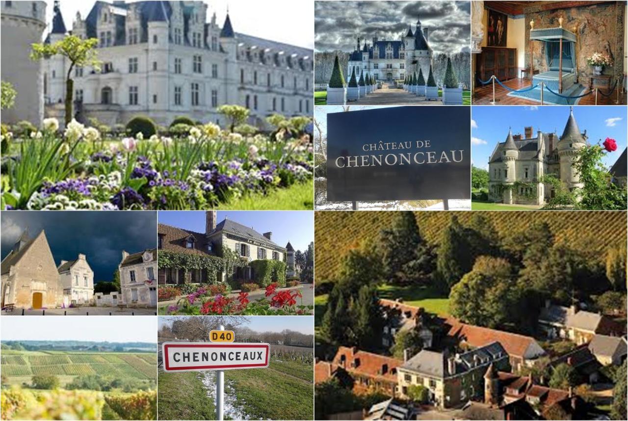 Bed and Breakfast Le Roi Coq Chenonceaux Exterior foto